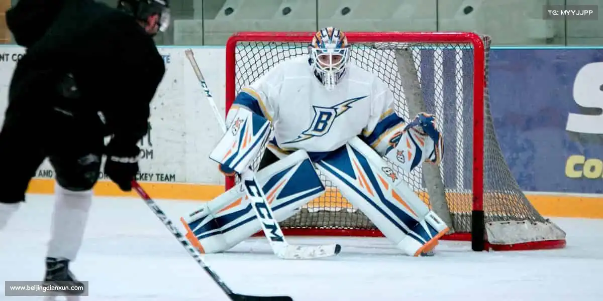 行业领先的理由